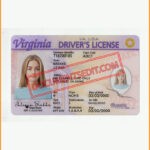 Virginia Drivers License