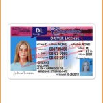 Connecticut drivers license