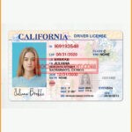 California Driving License