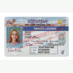 Nevada Driver License