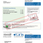TECO Tampa Electric