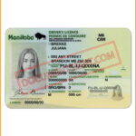 Manitoba Driving License